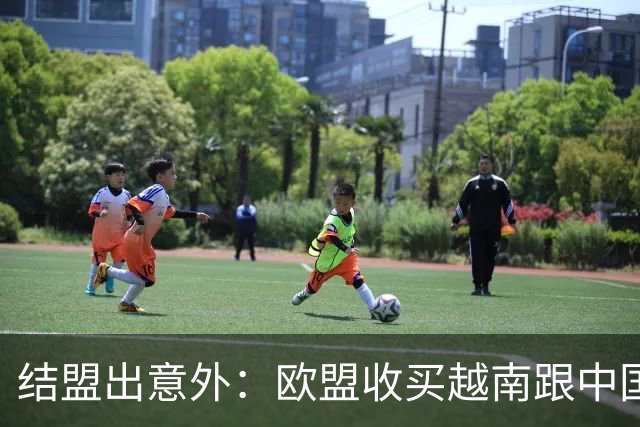结盟出意外：欧盟收买越南跟中国对着干，没料到越南狮子大开口