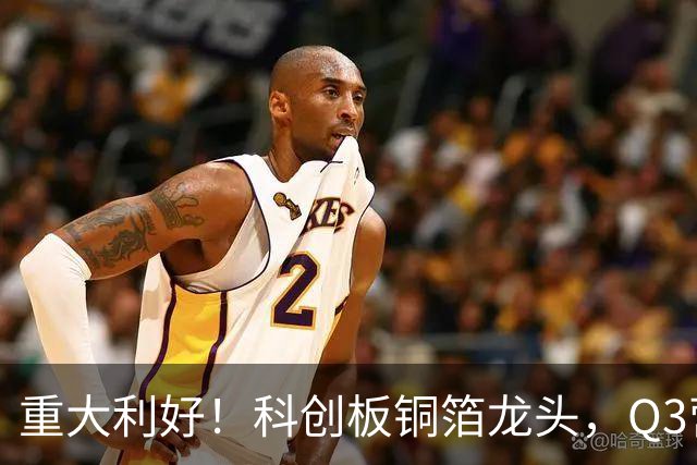 重大利好！科创板铜箔龙头，Q3营收翻倍，净利增超42倍